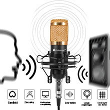 TOLEAP Microphone